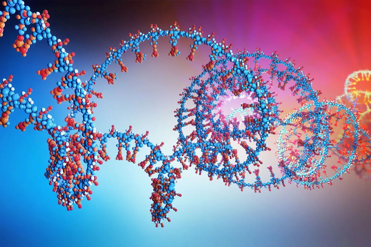 DNA