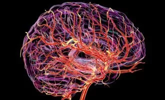 ضربان مغز و ارتباط آن با زوال عقل