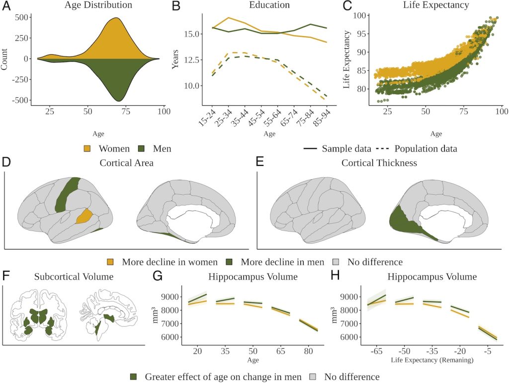 مغز مردان نسبت به زنان