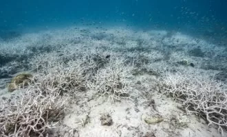 نقطه عطف اقلیمی