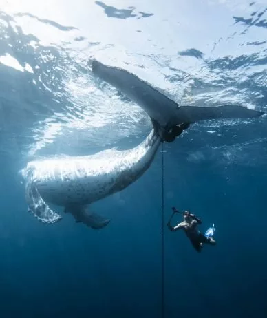 مسابقه عکاسی اقیانوسیه ۲۰۲۵