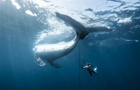 مسابقه عکاسی اقیانوسیه ۲۰۲۵