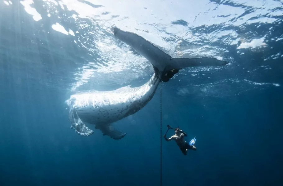 مسابقه عکاسی اقیانوسیه ۲۰۲۵