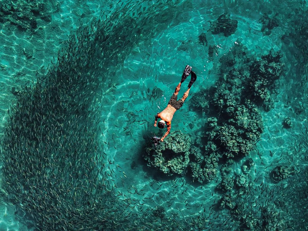 مسابقه عکاسی اقیانوسیه ۲۰۲۵