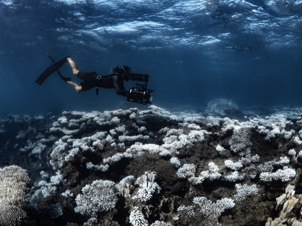 مسابقه عکاسی اقیانوسیه ۲۰۲۵