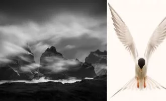 مسابقه انجمن عکاسی طبیعت آمریکای شمالی