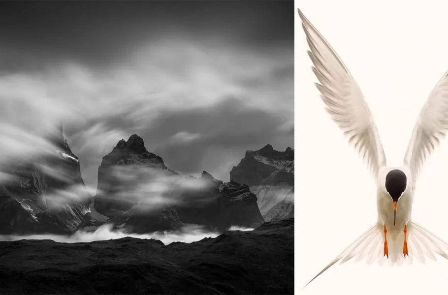 مسابقه انجمن عکاسی طبیعت آمریکای شمالی