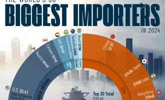 بزرگترین واردکنندگان در سال ۲۰۲۴