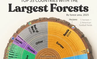 سهم کشورها از جنگل ها