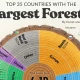 سهم کشورها از جنگل ها