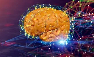 پردازش در مغز