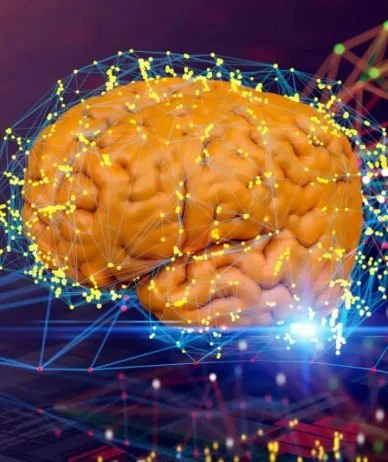 پردازش در مغز