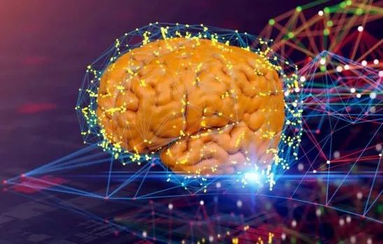 پردازش در مغز