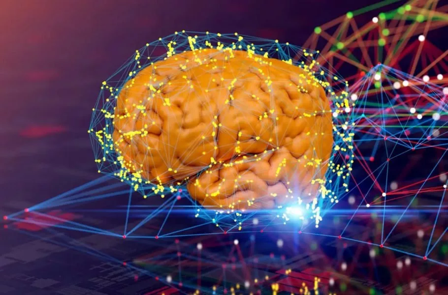 پردازش در مغز