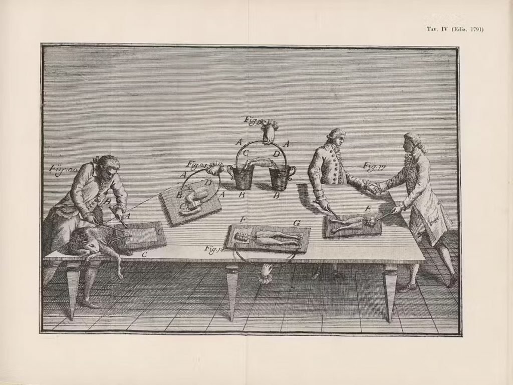 فرانکنشتاین