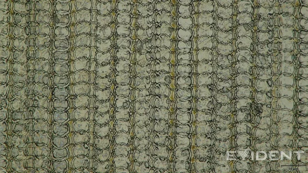 الگوی پورت شارژ آیفون ایر