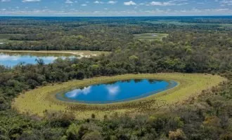 دریاچه در طبیعت