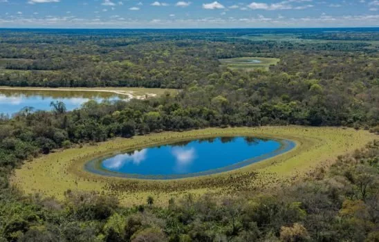 دریاچه در طبیعت