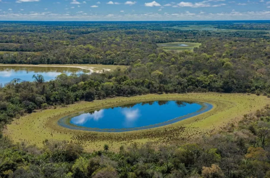 دریاچه در طبیعت