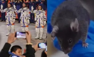 پرتاب فضاپیمای چین همراه با موش