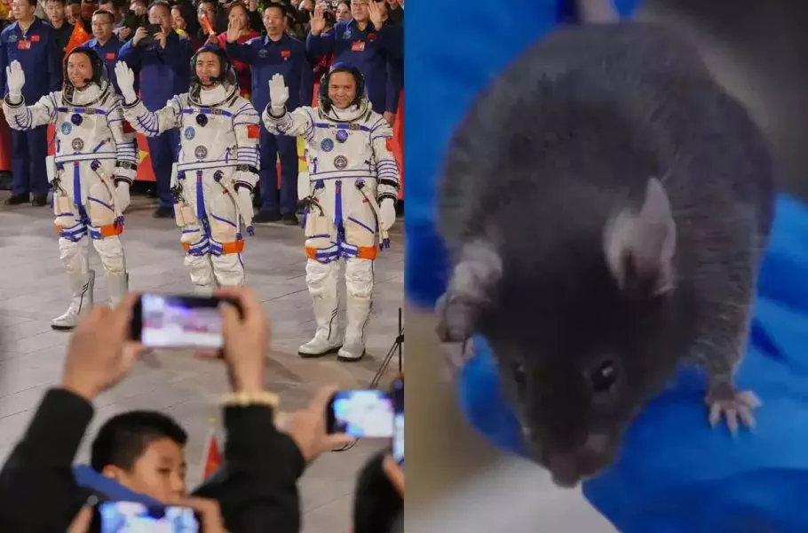 پرتاب فضاپیمای چین همراه با موش