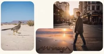 هوش مصنوعی تولید تصویر مایکروسافت