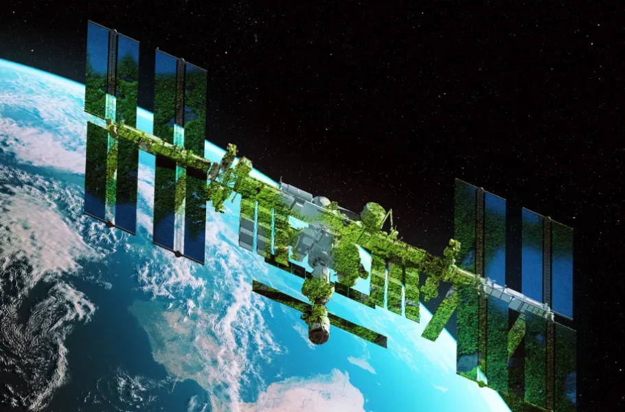 خزه روی سطح ایستگاه فضایی