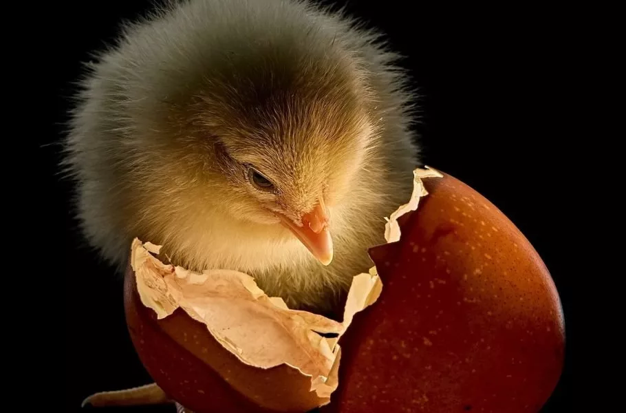 تصاویر ۲۰۲۵ نشنال جئوگرافیک