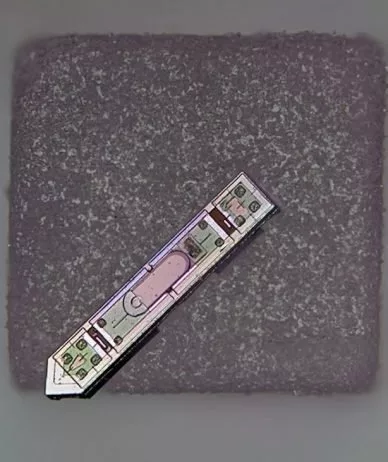 ایمپلنت برای بررسی فعالیت‌های مغز