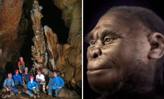 انسان فلورسی