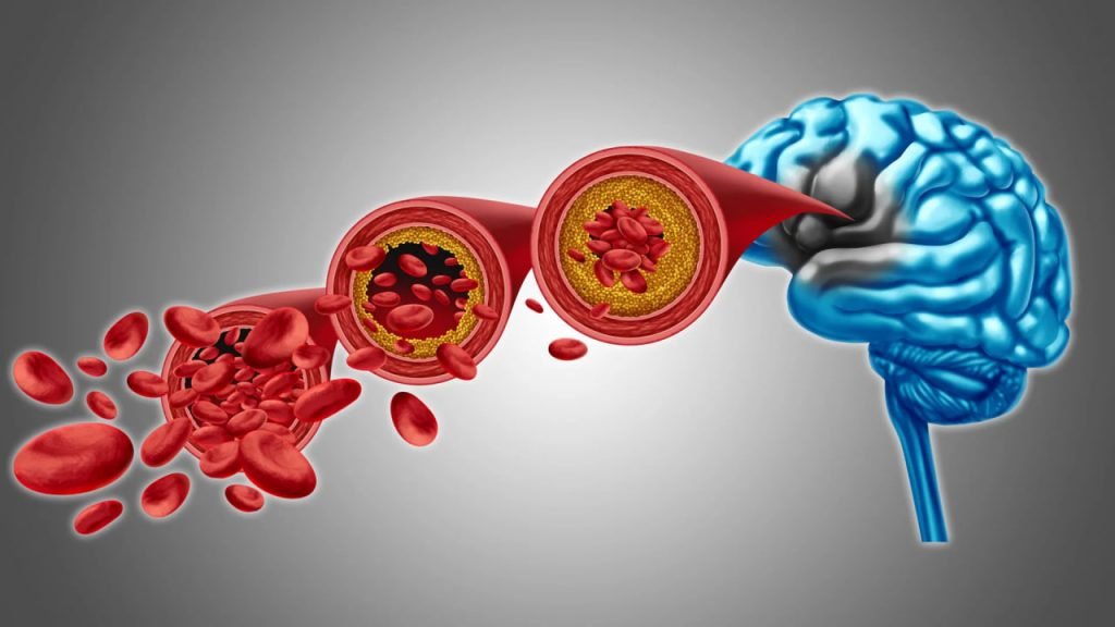 ساختار مولکولی مغز