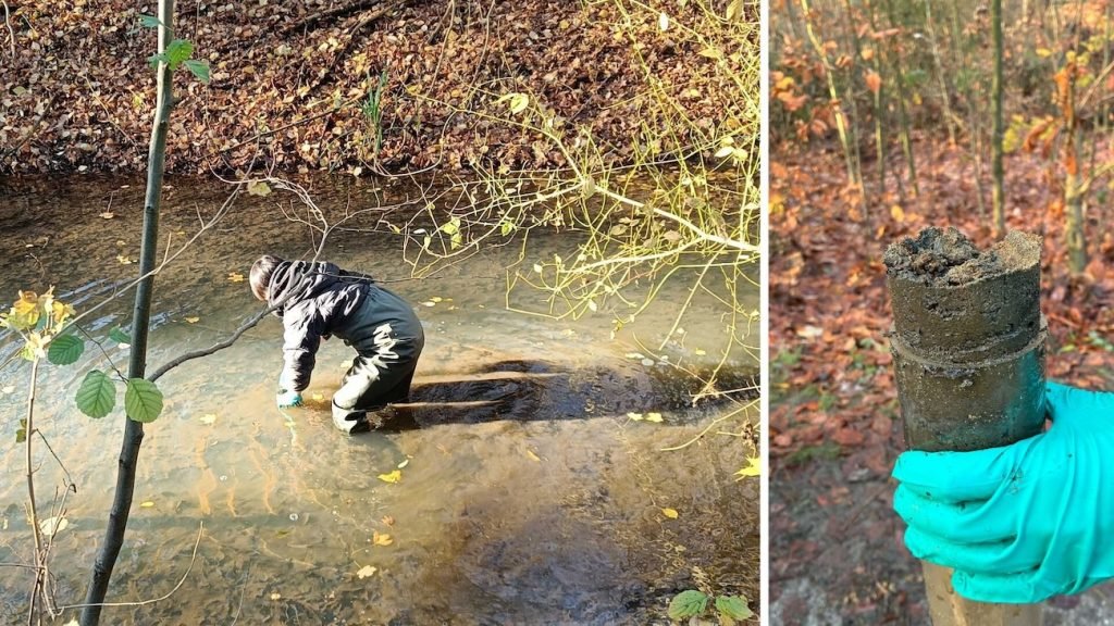 میکروب‌های رودخانه‌ها 