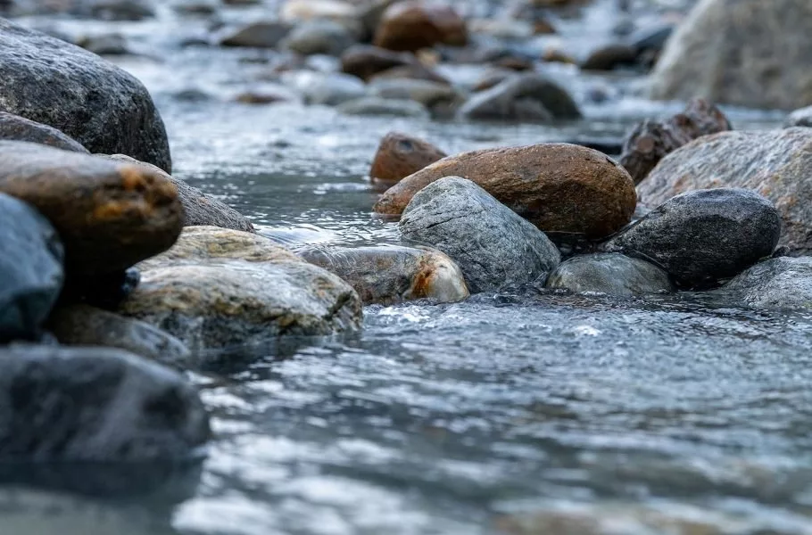 میکروب‌های رودخانه‌ها