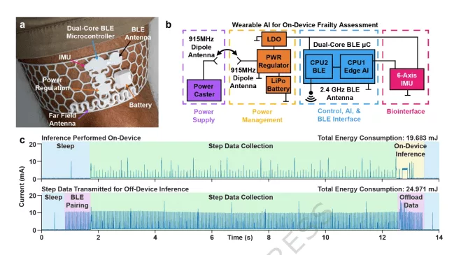 تصویری از گجت پوشیدنی و داده‌های آن