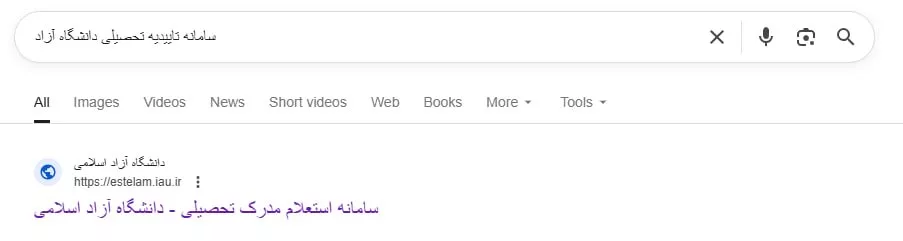 صفحه سرچ گوگل برای ورود به سامانه