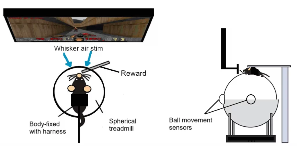 بازی Doom موشها