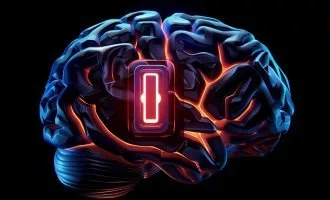 نقش سلول‌های ایمنی مغز در کنترل اضطراب