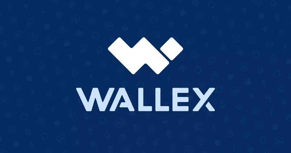 والکس خبر تحریم صرافی‌ها را رد کرد: این شایعات کاربران را به سمت صرافی‌های نامعتبر سوق می‌دهد