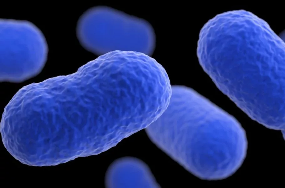 باکتری ۵ هزار ساله