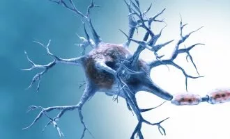 کشف پروتئین معکوس‌کننده پیری مغز