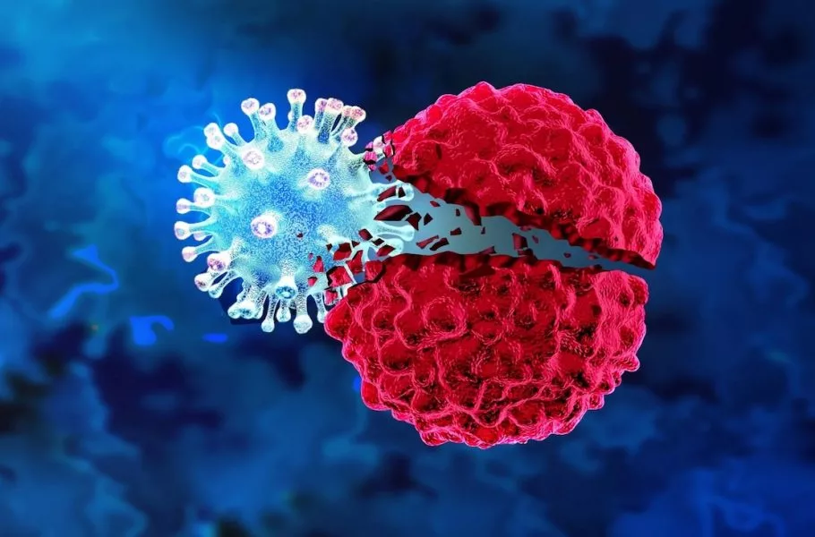 مهندسی باکتری‌ها برای خوردن تومورهای سرطان