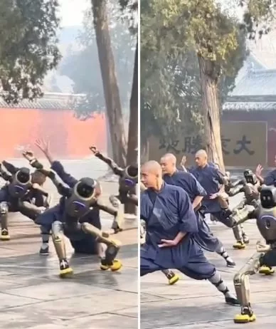 حرکات رزمی ربات‌های انسان‌نما در معبد شائولین