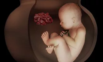 کشف دو جنین ۶۵۰۰ ساله در چپرآباد ایران