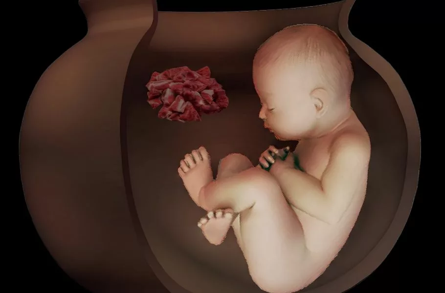 کشف دو جنین ۶۵۰۰ ساله در چپرآباد ایران