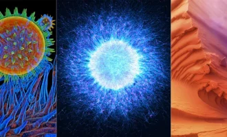 عکاسی میکروسکوپی