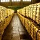 قیمت جهانی طلا