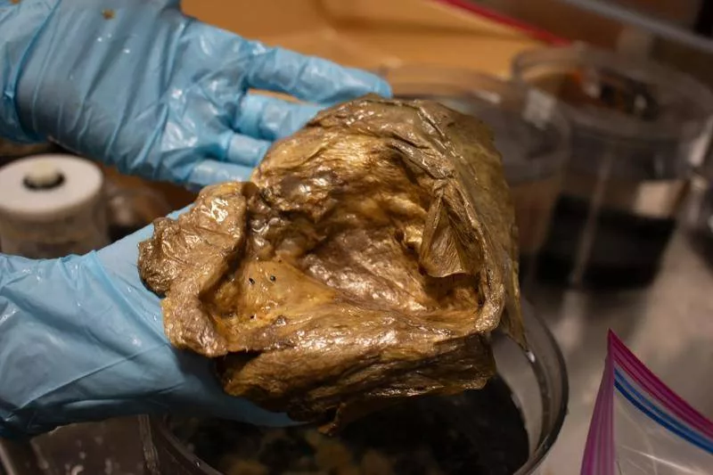 راز گوی طلایی کشف‌شده در اعماق اقیانوس پس از دو سال‌ونیم فاش شد