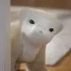 ربات Familiar