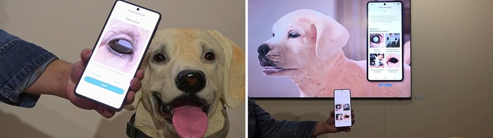 سامسونگ قابلیت Pet Care را معرفی کرد؛ تشخیص بیماری حیوان خانگی با یک عکس قابلیت Pet Care سامسونگ