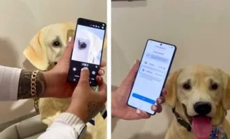 قابلیت Pet Care سامسونگ